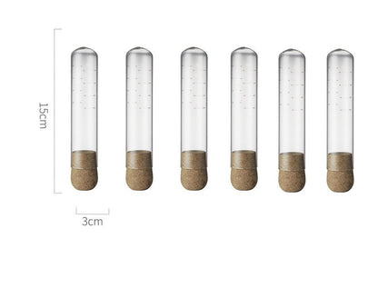 Filtre Tube Transparent