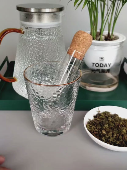Filtre Tube Transparent